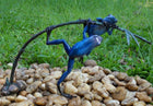Bronzen beeld 2 Gekleurde kikkers aan twijg / blauw 21x9x34cm - Doika - Bronzen beeld - Doika - 5410807009802 - AN0980BR-C
