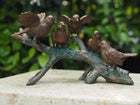 Bronzen beeld 5 Vogels op tak 19x19x29cm - Doika - Bronzen beeld - Doika - 5410807007839 - AN0783BR-B