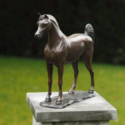 Bronzen beeld Arabisch paard 30x9x33cm - Doika - Bronzen beeld - Doika - 5410807011355 - AN1135BR-B