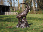 Bronzen beeld Berggeit naast rots 145x55x90cm - Doika - Bronzen beeld - Doika - 5410807015247 - B1524