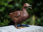 Bronzen beeld Eend 20x10x28cm - Doika - Bronzen beeld - Doika - 5410807011157 - AN1115BR-B