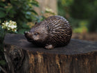 Bronzen beeld Egel 7x6x14cm - Doika - Bronzen beeld - Doika - 5410807012994 - AN1299BR-B