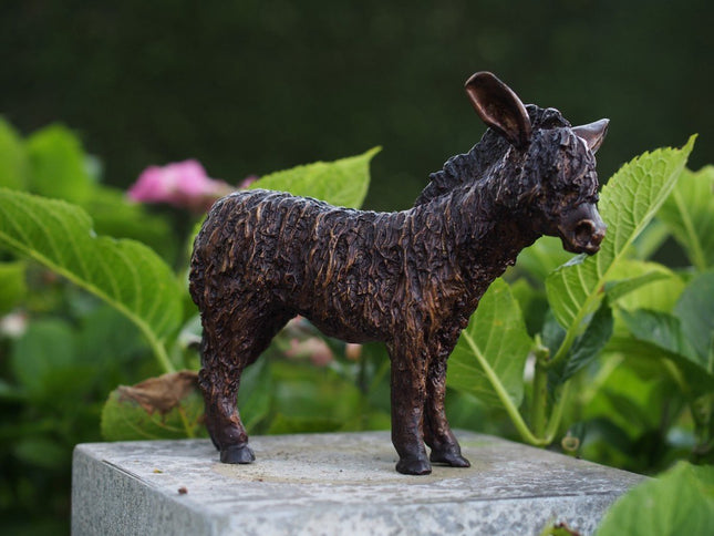 Bronzen beeld Ezeltje 21x6x23cm - Doika - Bronzen beeld - Doika - 5410807081068 - BS8106B