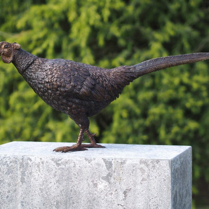 Bronzen beeld Fazant 34x18x75cm - Doika - Bronzen beeld - Doika - 5410807013298 - AN1329BR-B