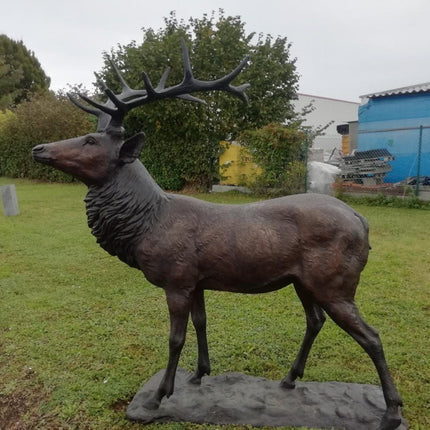 Bronzen beeld Groot hert 200x105x180cm 140kg - Doika - Bronzen beeld - Doika - 5410807610398 - PB61039