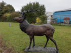 Bronzen beeld Groot hert 200x105x180cm 140kg - Doika - Bronzen beeld - Doika - 5410807610398 - PB61039