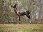Bronzen beeld Hertenkalf 82x27x80cm - Doika - Bronzen beeld - Doika - 5410807040836 - B1408-3