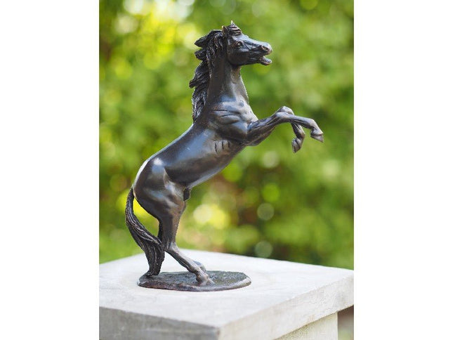 Bronzen beeld Klein steigerend paardje 24x7x19cm - Doika - Bronzen beeld - Doika - 5410807011003 - AN1100BR-B