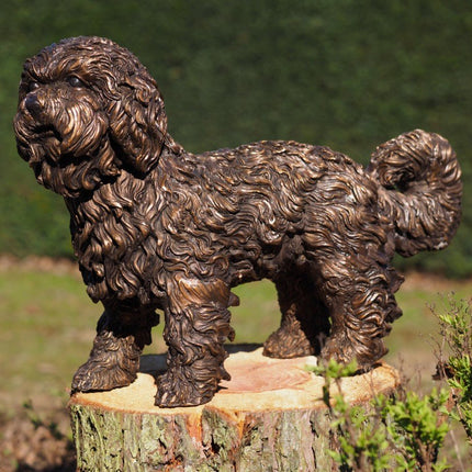 Bronzen beeld Labradoodle puppy 42x22x58cm - Doika - Bronzen beeld - Doika - 5410807584545 - B58454