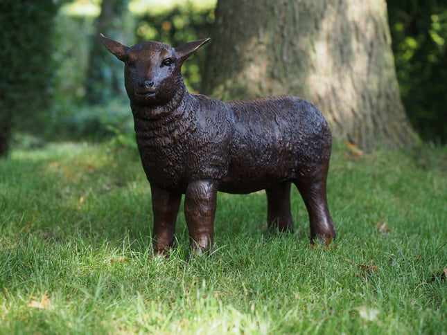 Bronzen beeld Lammetje 45x19x50cm - Doika - Bronzen beeld - Doika - 5410807730171 - B73017