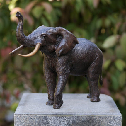 Bronzen beeld Olifant L, 36 cm 29x14x37cm - Doika - Bronzen beeld - Doika - 5410807013106 - AN1310BR-B