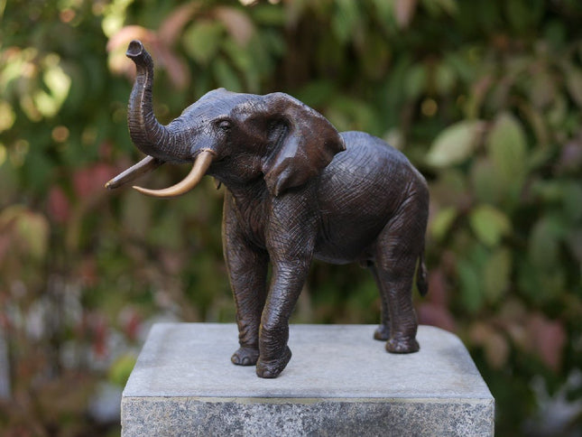Bronzen beeld Olifant L, 36 cm 29x14x37cm - Doika - Bronzen beeld - Doika - 5410807013106 - AN1310BR-B