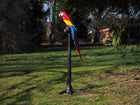 Bronzen beeld Papagaai op boom (hoofd omhoog) 143x45x60cm - Doika - Bronzen beeld - Doika - 5410807283912 - B28390A