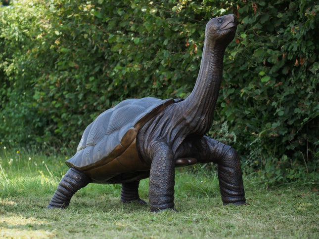 Bronzen beeld Reuze Schildpad 150x110x155cm - Doika - Bronzen beeld - Doika - 5410807014851 - B1485