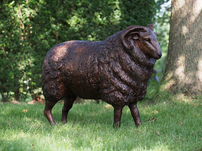 Bronzen beeld Schaap 61x30x75cm - Doika - Bronzen beeld - Doika - 5410807730133 - B73013