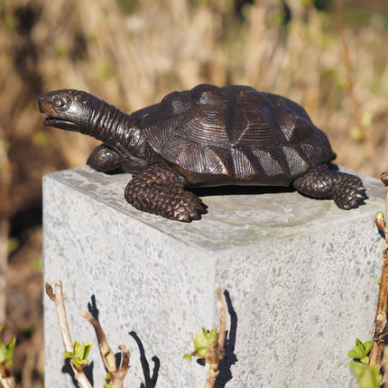 Bronzen beeld Schildpad 10x19x29cm - Doika - Bronzen beeld - Doika - 5410807911587 - BS1158B