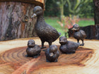 Bronzen beeld Set van 5 eenden 19x8x16cm - Doika - Bronzen beeld - Doika - 5410807015391 - AN0001BR-B