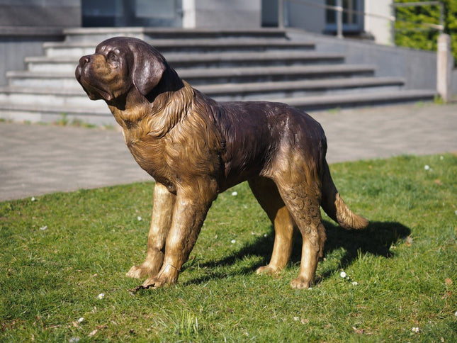 Bronzen beeld Sint Bernardus hond 96x40x140cm - Doika - Bronzen beeld - Doika - 5410807288009 - B28800
