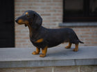 Bronzen beeld Tekkel Gekleurd 33x17x69cm - Doika - Bronzen beeld - Doika - 5410807914700 - B1470-C