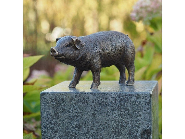 Bronzen beeld Varken 12x8x25cm - Doika - Bronzen beeld - Doika - 5410807211700 - AN1170BRW-B