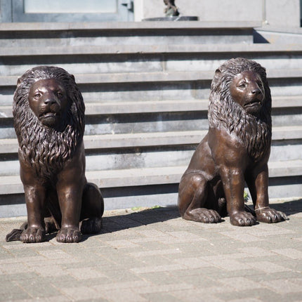 Bronzen beeld Zittende leeuw 80x37x58cm - Doika - Bronzen beeld - Doika - 5410807015193 - B1519