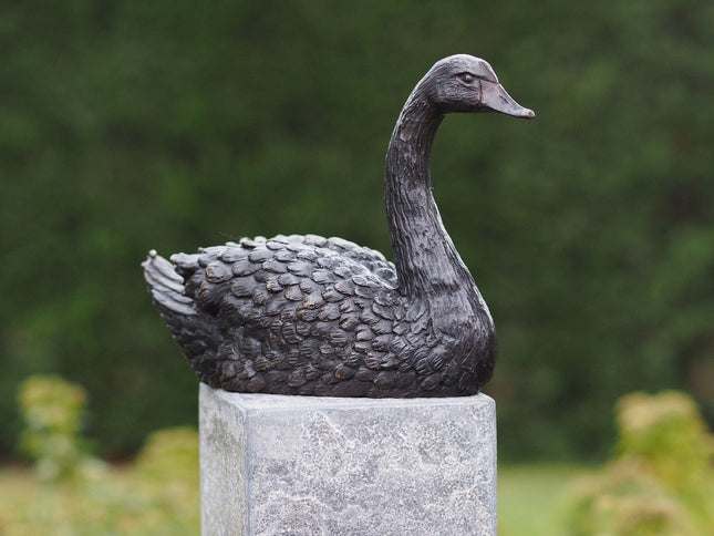 Bronzen beeld Zwaan 16x9x22cm - Doika - Bronzen beeld - Doika - 5410807913437 - AN1343BR-B
