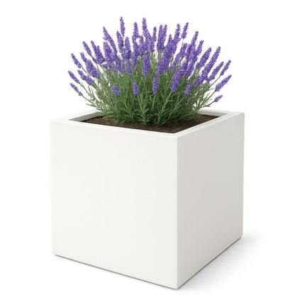 GARDRA Polyester plantenbak 100x100x80 cm - Zuiver Wit (RAL 9010) - Doika - Plantenbak - GARDRA -  - DOIKA-AP-06.1-RAL-9010