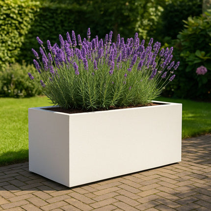 GARDRA Polyester plantenbak 100x50x50 cm - Zuiver Wit (RAL 9010) - Doika - Plantenbak - GARDRA -  - DOIKA-BP-07-RAL-9010