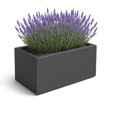 GARDRA Polyester plantenbak 100x50x50 cm - Zwartgrijs (RAL 7021) - Doika - Plantenbak - GARDRA -  - DOIKA-BP-07-RAL-7021