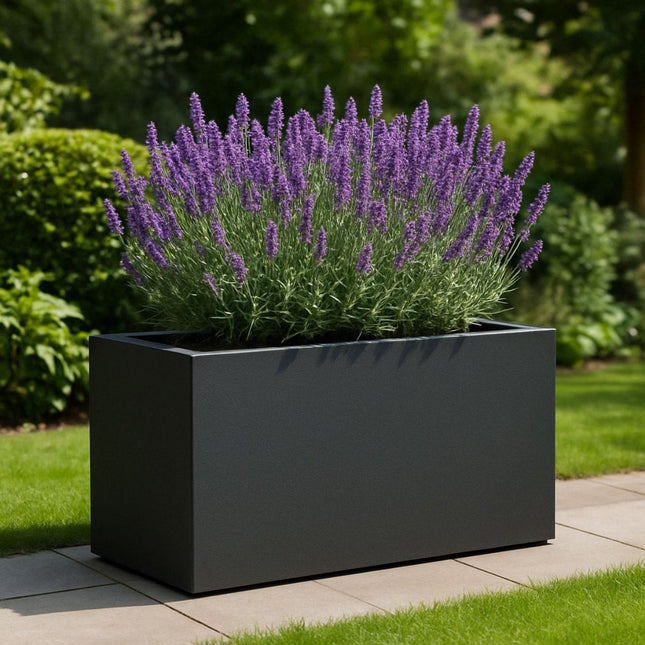 GARDRA Polyester plantenbak 100x50x50 cm - Zwartgrijs (RAL 7021) - Doika - Plantenbak - GARDRA -  - DOIKA-BP-07-RAL-7021