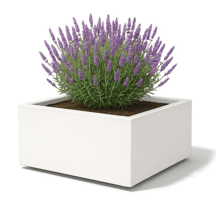 GARDRA Polyester plantenbak 120x120x40 cm - Zuiver Wit (RAL 9010) - Doika - Plantenbak - GARDRA -  - DOIKA-AP-07.4-RAL-9010
