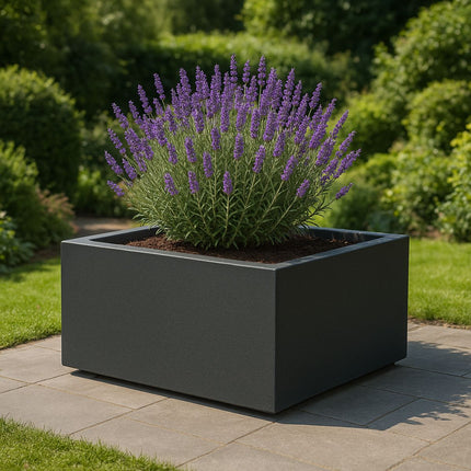 GARDRA Polyester plantenbak 120x120x40 cm - Zwartgrijs (RAL 7021) - Doika - Plantenbak - GARDRA -  - DOIKA-AP-07.4-RAL-7021