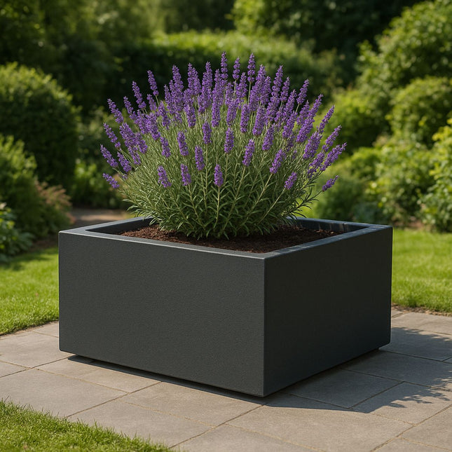 GARDRA Polyester plantenbak 120x120x40 cm - Zwartgrijs (RAL 7021) - Doika - Plantenbak - GARDRA -  - DOIKA-AP-07.4-RAL-7021