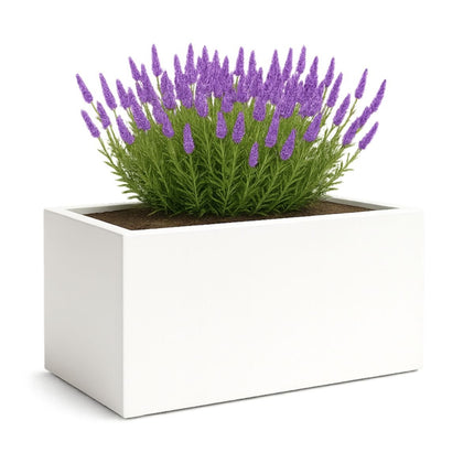 GARDRA Polyester plantenbak 120x50x60 cm - Zuiver Wit (RAL 9010) - Doika - Plantenbak - GARDRA -  - DOIKA-BP-01-9010