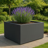GARDRA Polyester plantenbak 160x160x80 cm - Zwartgrijs (RAL 7021) - Doika - Plantenbak - GARDRA -  - DOIKA-AP-16-RAL-7021