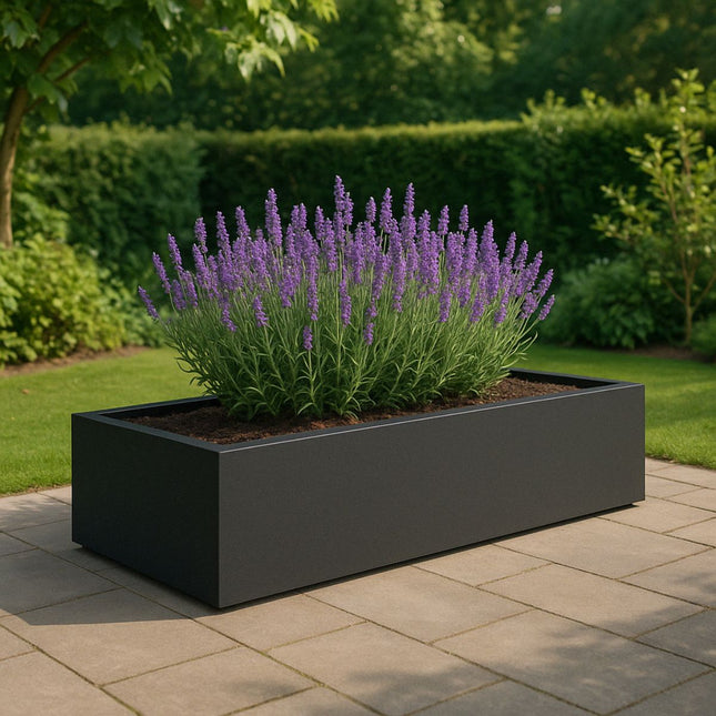 GARDRA Polyester plantenbak 223x100x32 cm - Zwartgrijs (RAL 7021) - Doika - Plantenbak - GARDRA -  - DOIKA-BP-13-RAL-7021