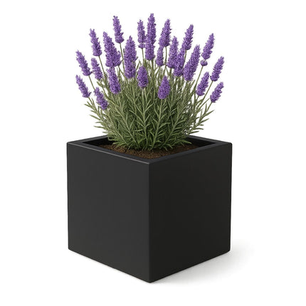 GARDRA Polyester plantenbak 40x40x40 cm - Gitzwart (RAL 9005) - Doika - Plantenbak - GARDRA -  - DOIKA-Ap-1-9005-RAL-9005