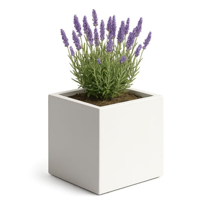GARDRA Polyester plantenbak 50x50x50 cm - Zuiver Wit (RAL 9010) - Doika - Plantenbak - GARDRA -  - DOIKA-Ap-2-RAL-9010