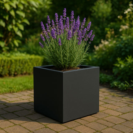 GARDRA Polyester plantenbak 50x50x50 cm - Zwartgrijs (RAL 7021) - Doika - Plantenbak - GARDRA -  - DOIKA-Ap-2-RAL-7021
