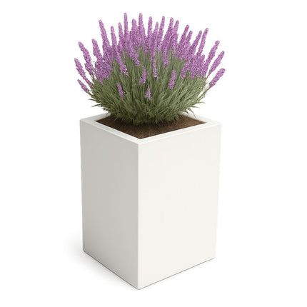 GARDRA Polyester plantenbak 50x50x80 cm - Zuiver Wit (RAL 9010) - Doika - Plantenbak - GARDRA -  - DOIKA-CP-1.1-RAL-9010