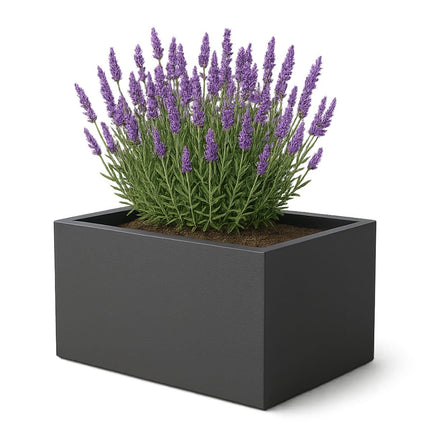 GARDRA Polyester plantenbak 60x40x40 cm - Zwartgrijs (RAL 7021) - Doika - Plantenbak - GARDRA -  - DOIKA-BP-41-RAL-7021