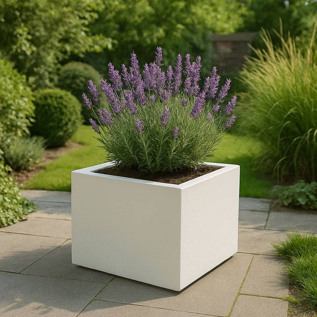 GARDRA Polyester plantenbak 60x60x40 cm - Zuiver Wit (RAL 9010) - Doika - Plantenbak - GARDRA -  - DOIKA-AP-03.1-RAL-9010