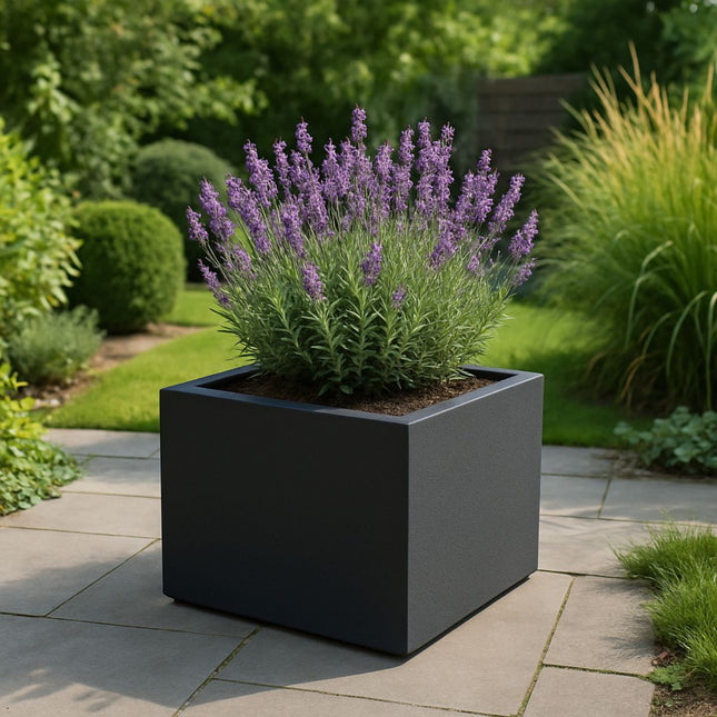GARDRA Polyester plantenbak 60x60x40 cm - Zwartgrijs (RAL 7021) - Doika - Plantenbak - GARDRA -  - DOIKA-AP-03.1-RAL-7021