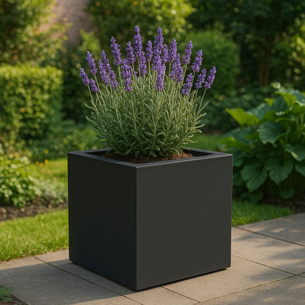 GARDRA Polyester plantenbak 60x60x60 cm - Gitzwart (RAL 9005) - Doika - Plantenbak - GARDRA -  - DOIKA-Ap-3-RAL-9005