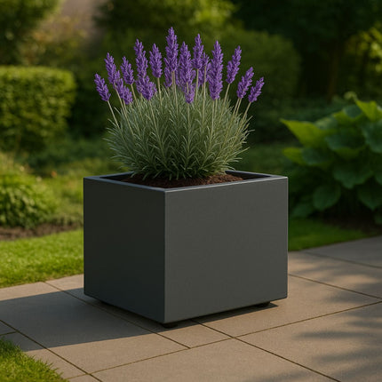 GARDRA Polyester plantenbak 60x60x60 cm met wielen - Zwartgrijs (RAL 7021) - Doika - Plantenbak - GARDRA -  - DOIKA-WIELEN - RAL-7021