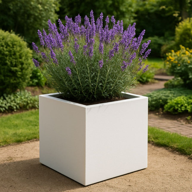 GARDRA Polyester plantenbak 60x60x60 cm - Zuiver Wit (RAL 9010) - Doika - Plantenbak - GARDRA -  - DOIKA-Ap 3-RAL-9010