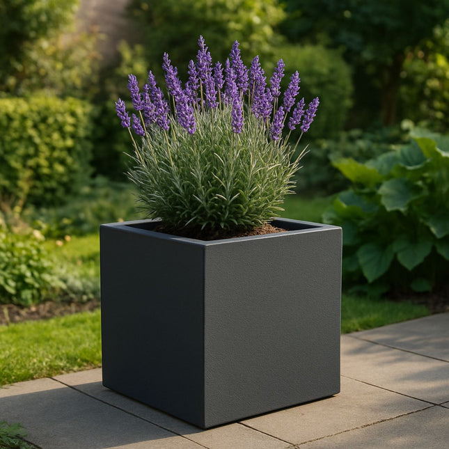 GARDRA Polyester plantenbak 60x60x60 cm - Zwartgrijs (RAL 7021) - Doika - Plantenbak - GARDRA -  - DOIKA-Ap 3-RAL-7021