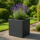 GARDRA Polyester plantenbak 70x70x70 cm - Zwartgrijs (RAL 7021) - Doika - Plantenbak - GARDRA -  - DOIKA-AP-04-RAL-7021