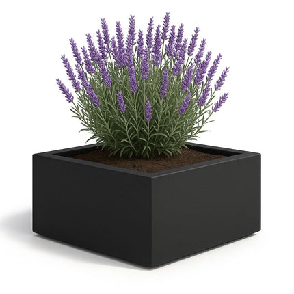 GARDRA Polyester plantenbak 80x80x40 cm - Gitzwart (RAL 9005) - Doika - Plantenbak - GARDRA -  - DOIKA-AP-5.2-RAL-9005