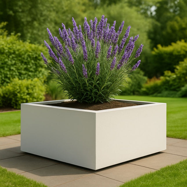 GARDRA Polyester plantenbak 80x80x40 cm - Zuiver Wit (RAL 9010) - Doika - Plantenbak - GARDRA -  - DOIKA-AP-5.2-RAL-9010